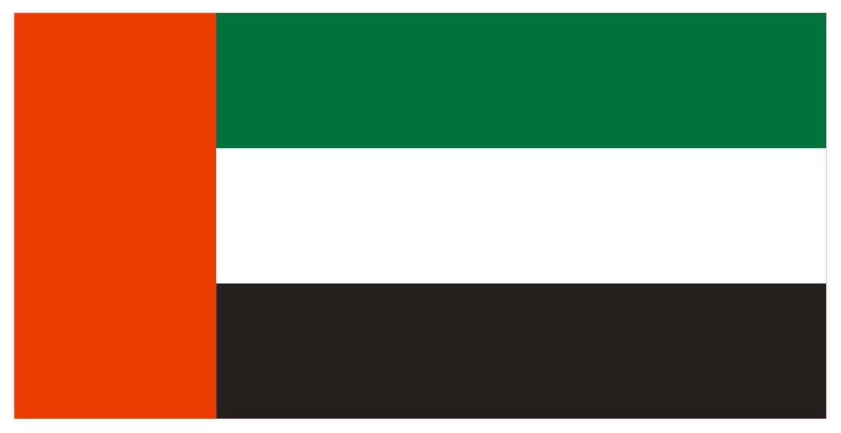 迪拜国旗,阿联酋国旗,dubai flag,迪拜旗定制